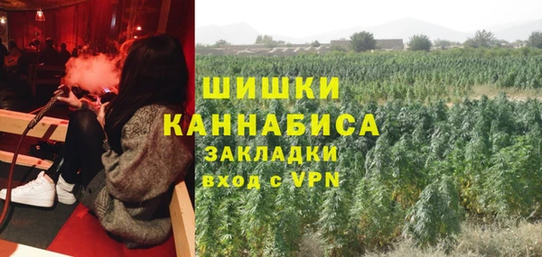 таблы Дмитриев