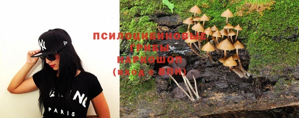таблы Дмитриев