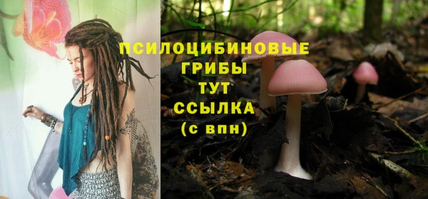 таблы Дмитриев